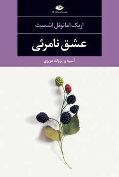 کتاب عشق نامرئی نشر نگاه نویسنده اریک امانوئل اشمیت مترجم آسیه جلد شومیز قطع رقعی