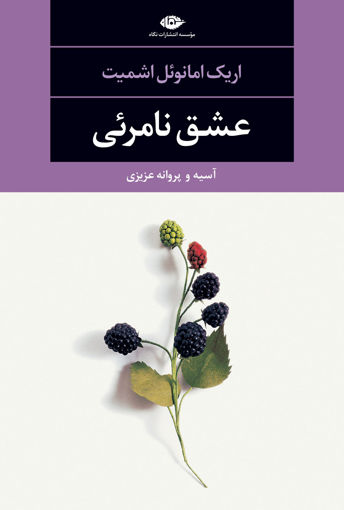 کتاب عشق نامرئی نشر نگاه نویسنده اریک امانوئل اشمیت مترجم آسیه جلد شومیز قطع رقعی