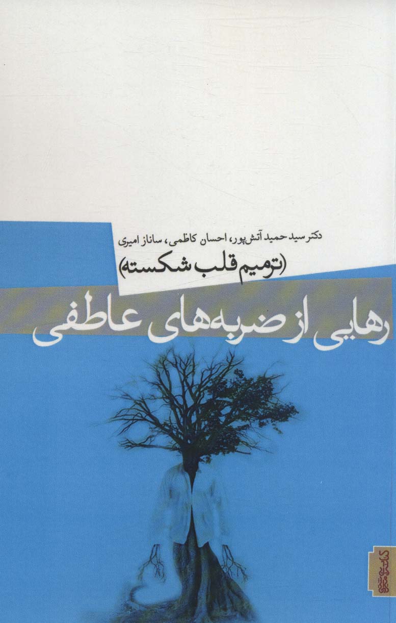 کتاب رهایی از ضربه های عاطفی نشر میردشتی نویسنده دکتر سید حمید آتش پور جلد شومیز قطع رقعی