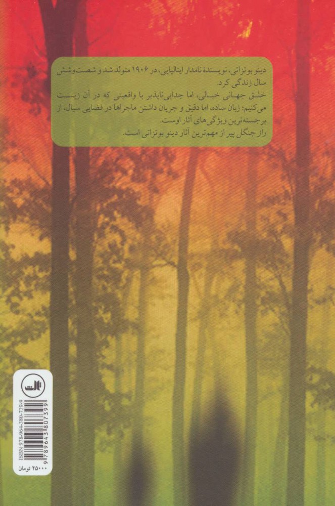کتاب راز جنگل پیر نشر ثالث نویسنده دینو بوتزاتی مترجم بهمن فرزانه جلد شومیز قطع رقعی