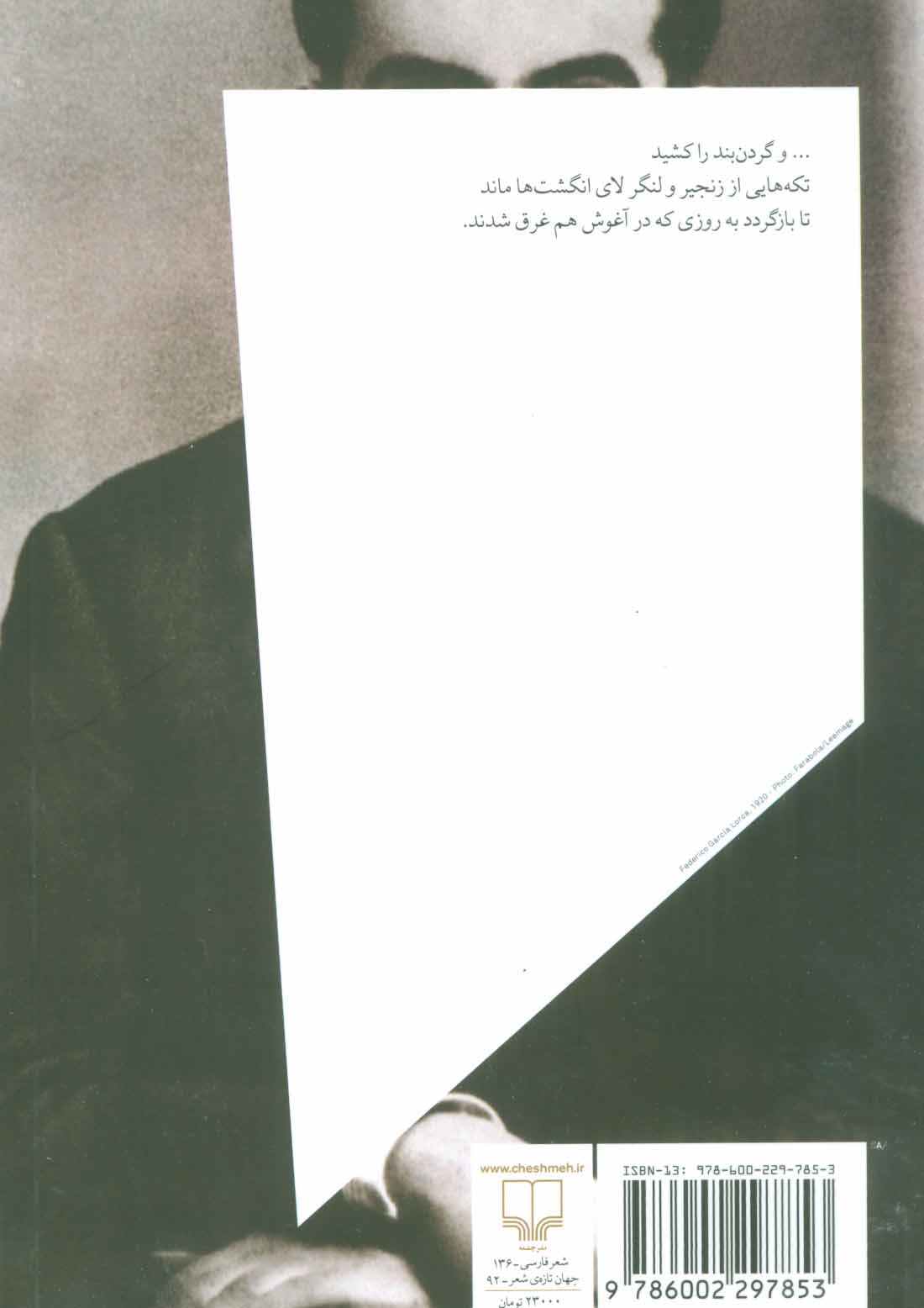 کتاب آشویتس خصوصی من نشر چشمه نویسنده حسن همایون جلد شومیز قطع رقعی