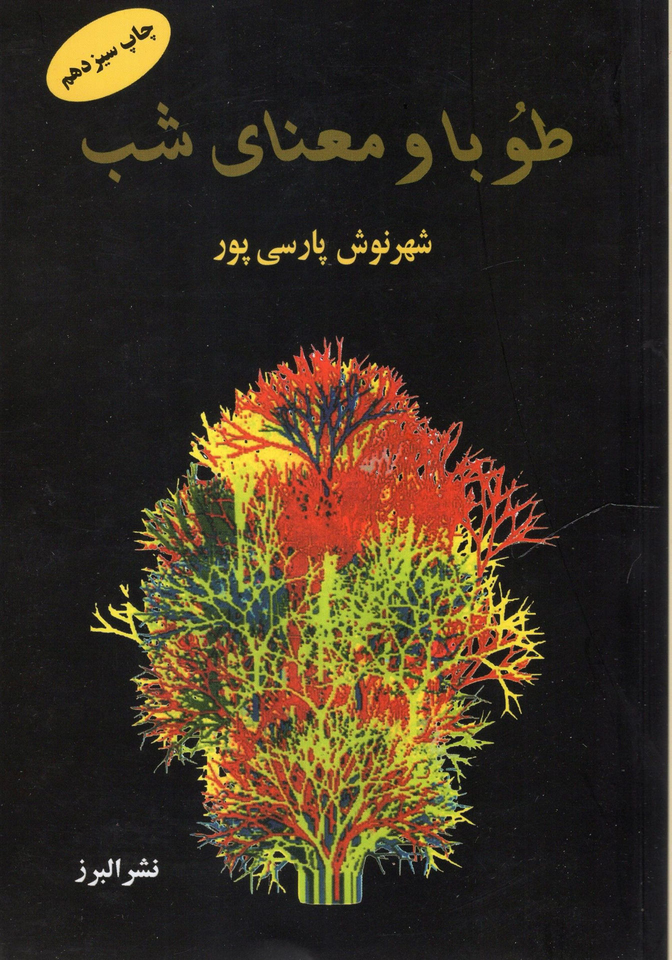 کتاب طوبا و معنای شب نشر البرز نویسنده شهرنوش پارسی پور جلد شومیز قطع رقعی
