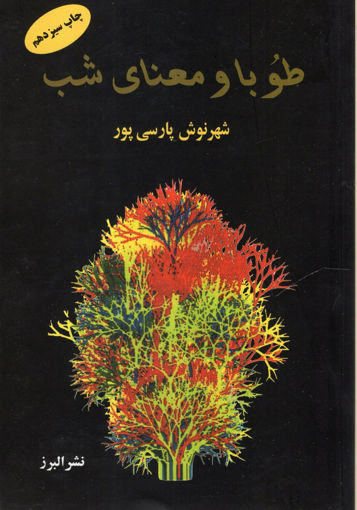 کتاب طوبا و معنای شب نشر البرز نویسنده شهرنوش پارسی پور جلد شومیز قطع رقعی