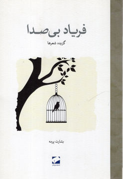 کتاب فریاد بی صدا نشر لوح فکر نویسنده بشارت پرمه جلد شومیز قطع رقعی