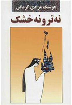 کتاب نه تر و نه خشک نشر معین نویسنده هوشنگ مرادی کرمانی جلد شومیز قطع رقعی