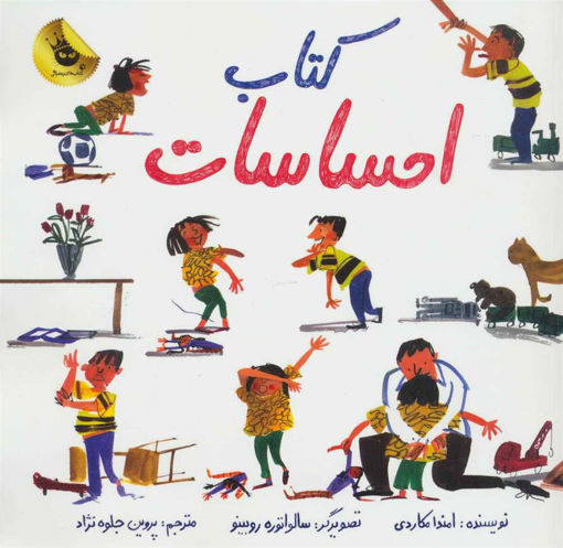 کتاب کتاب احساسات نشر زعفران نویسنده امندا مکاردی مترجم پروین جلوه نژاد جلد شومیز قطع خشتی