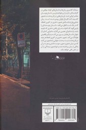 کتاب تصویر دختری در آخرین لحظه نشر چشمه نویسنده سیامک گلشیری جلد شومیز قطع رقعی
