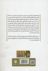 کتاب قانون عشق و قانون خشونت نشر مروارید نویسنده لئو تولستوی مترجم شهاب الدین عباسی جلد شومیز قطع رقعی
