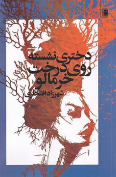 کتاب دختری نشسته روی درخت خرمالو نشر روشنگران نویسنده شهرزاد افتخاری جلد شومیز قطع رقعی
