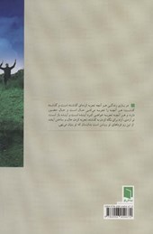کتاب تپش هستی نشر بینش نو نویسنده فرشته میرهاشمی جلد شومیز قطع وزیری