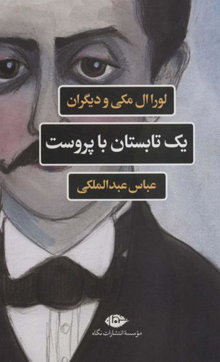 کتاب یک تابستان با پروست نشر نگاه نویسنده لورا ال مکی مترجم عباس عبدالملکی جلد شومیز قطع رقعی