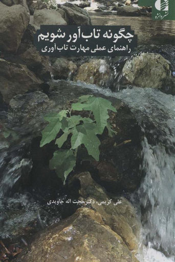 کتاب چگونه تاب آور شویم نشر دانژه نویسنده علی کریمی جلد شومیز قطع رقعی