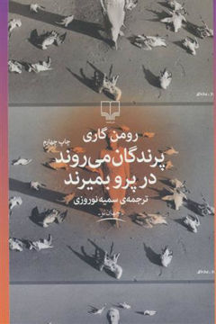 کتاب پرندگان می روند در پرو بمیرند نشر چشمه نویسنده رومن گاری مترجم سمیه نوروزی جلد شومیز قطع رقعی