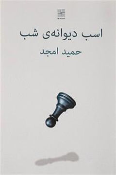 کتاب اسب دیوانه شب نشر نیلا نویسنده حمید امجد جلد شومیز قطع رقعی