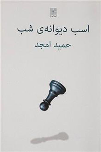 کتاب اسب دیوانه شب نشر نیلا نویسنده حمید امجد جلد شومیز قطع رقعی