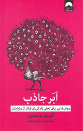 کتاب ابر جاذب نشر میلکان نویسنده گبریل برنستین مترجم سارا پرویز خانی جلد شومیز قطع رقعی