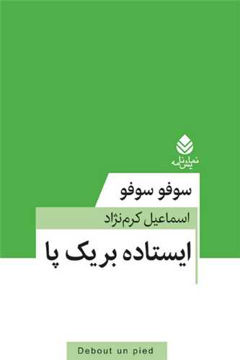 کتاب ایستاده بر یک پا نشر قطره نویسنده سوفو سوفو مترجم اسماعیل کرم نژاد جلد شومیز قطع رقعی